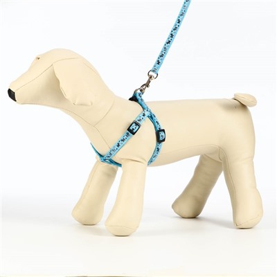 Комплект «Собачки», ширина 1 см, поводок 1.2 м, шлейка 23-35 см, голубой