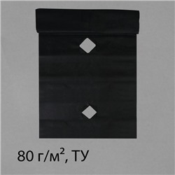 Материал мульчирующий, с перфорацией, 5×0.8 м, плотность 80 г/м², спанбонд с УФ-стабилизатором, чёрный, Greengo, Эконом 30%