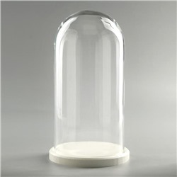 Стеклянный купол-клош на деревянной подставке «Венсан», 30×15 см, белый
