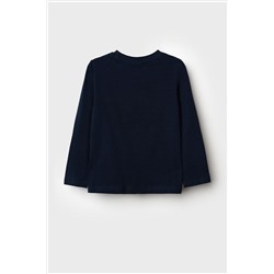 Фуфайка трикотажная для мальчиков (футболка с длинными рукавами) PLAYTODAY, 1185726