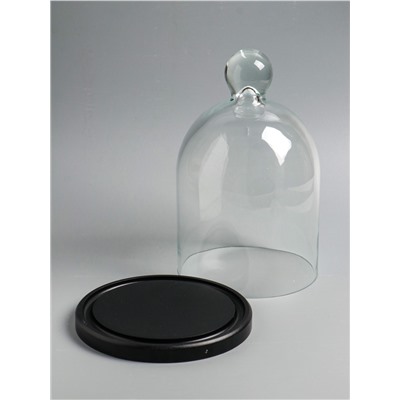 Стеклянный купол - клош на деревянной подставке, 17×25 см, чёрный