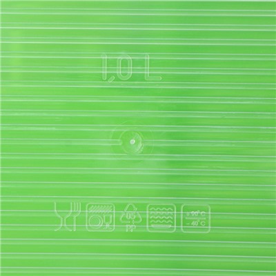 Набор пищевых контейнеров «BioFresh», 3 шт.: 1 л, 1.6 л, 2.3 л, цвет микс