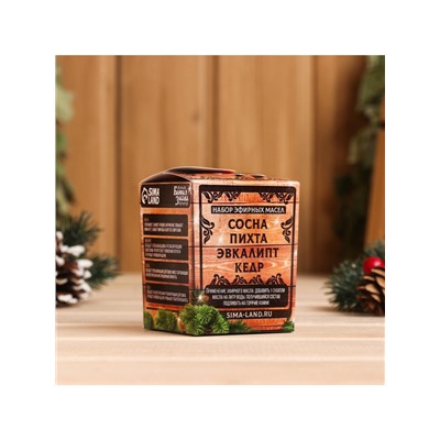 Новогодний набор эфирных масел «С Новым Годом!», в подарочной коробке, пихта, эвкалипт, кедр, сосна, 4 шт. по 10 мл