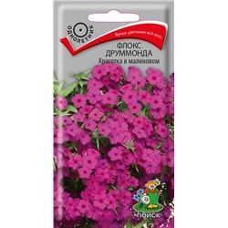 Флокс Красотка в малиновом (одн) (П)