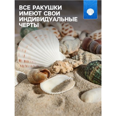 Набор ракушек Пижон Аква 100 г, микс №1