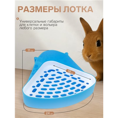 Туалет для кроликов и хорьков, 24×18×11 см, угловой, пластик, синий