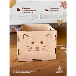 Конструктор деревянный «Ящики-Мордашки», 3 шт.