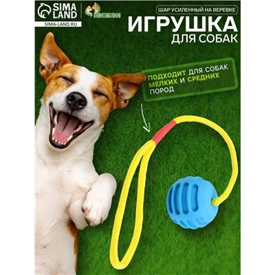 Игрушка «Шар усиленный на веревке», 43 см, шар 6 см, голубой