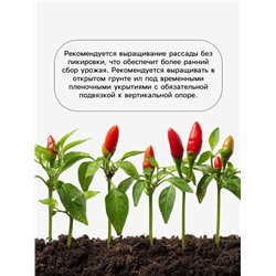 Семена Перец «Сибирская лиса», 0.1 г, «Агрос»