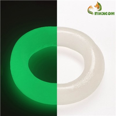 Игрушка для собак «Кольцо», светящаяся в темноте, 9.5 см