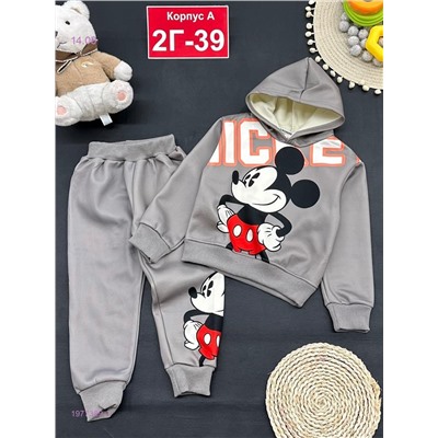 костюм с начесом 1977389-3