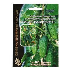 Семена огурец «Пучковое великолепие F1», скороспелый, пучковый, партенокарпический, 5 шт.
