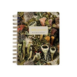 Ежедневник недатированный А6 272 стр. на спирали "Эльфийский лес" 3-703/05 Bruno Visconti