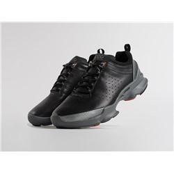 Кроссовки Ecco Biom