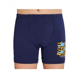 Трусы для мальчика Berrak