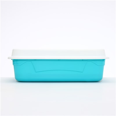 Туалет с бортом и сеткой, 45×34×15 см, белый, бирюзовый