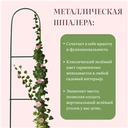 Шпалера, 140×23×1 см, металл, зелёная, «Лестница», МИКС