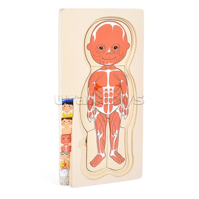 Пазл-вкладыш "Мальчишка"