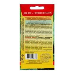 Семена Капуста белокочанная "Валентина" F1, 0,1 г