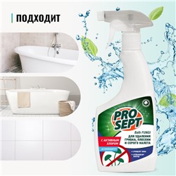 Средство для удаления плесени с дезинфицирующим эффектом Bath Fungy. Концентрат, 0.5 л