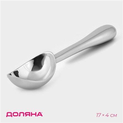 Ложка для мороженого Доляна «Идея», 17×4×2.3 см, нержавеющая сталь