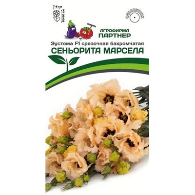 3379P Эустома F1 срезочная бахромчатая СЕНЬОРИТА МАРСЕЛА 5 шт
