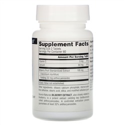 Source Naturals, экстракт черники, 50 мг, 120 таблеток