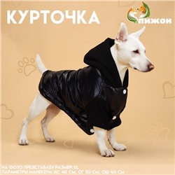 Куртка для собак «Спорт» с капюшоном, размер XL, чёрная