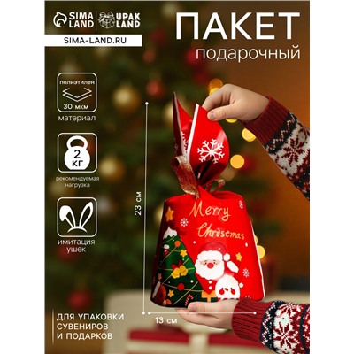 Пакет полиэтиленовый подарочный новогодний, с ушками Friends, 13×22 см