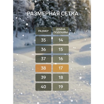 Валенки женские, размер 38 (26), чёрные