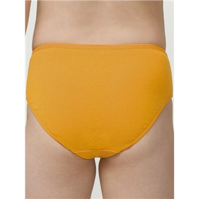 PELICAN Трусы GULC3301(3)