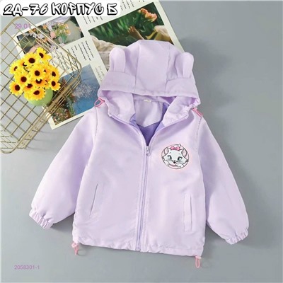 ветровка 2058301-1