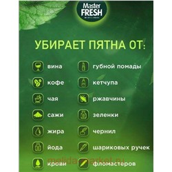 MASTER FRESH GOLD Карандаш-пятновыводитель 1шт