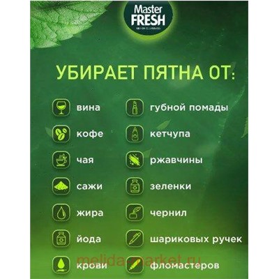 MASTER FRESH GOLD Карандаш-пятновыводитель 1шт