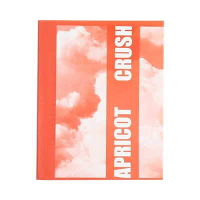 Набор тетрадей 96 листов в клетку Calligrata Apricot Crush, обложка мелованный картон, глянцевая ламинация, блок офсет, 4 шт.