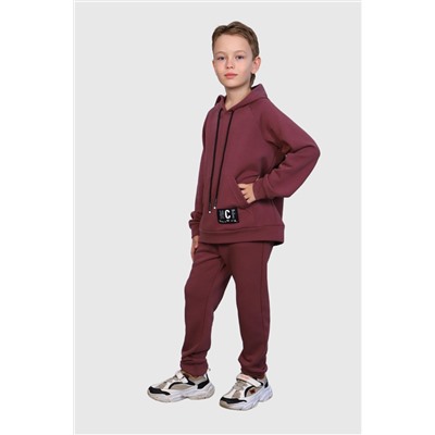 Лекс - man - костюм баклажан