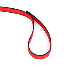 Поводок, 2 м × 2 см, красный, чёрный