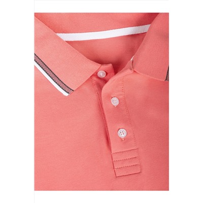 Футболка-поло VILATTE, 1131355