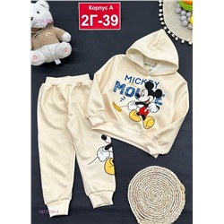 костюм с начесом 1977404-4