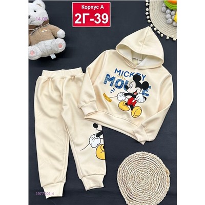 костюм с начесом 1977404-4