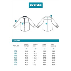 Рубашка ACOOLA, 1047886