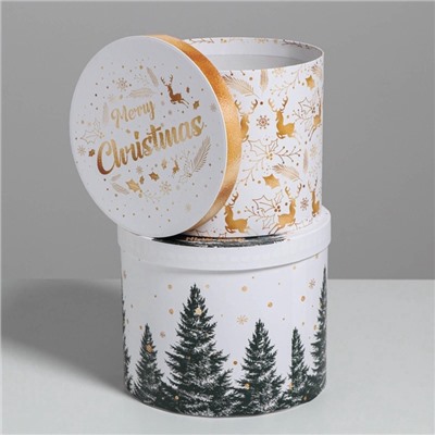 Набор подарочных коробок 5 в 1 «Белое золото», 13×14‒19.5×22 см, Новый год