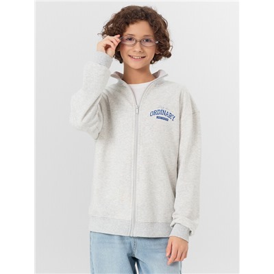 ТОЛСТОВКА ДЛЯ МАЛЬЧИКОВ 123448