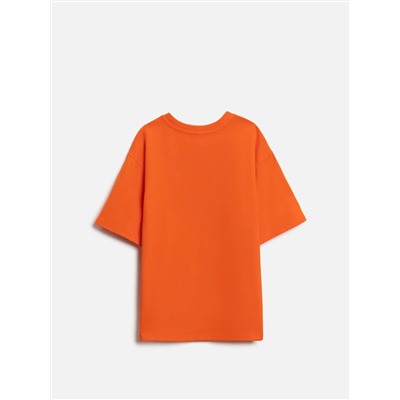 Acoola Футболка 20110510233