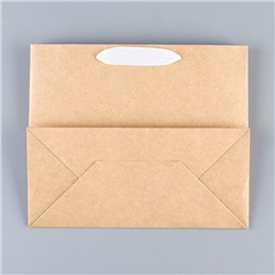 Пакет подарочный новогодний крафтовый с пластиковым окном «С Новым годом», 24×20×11 см