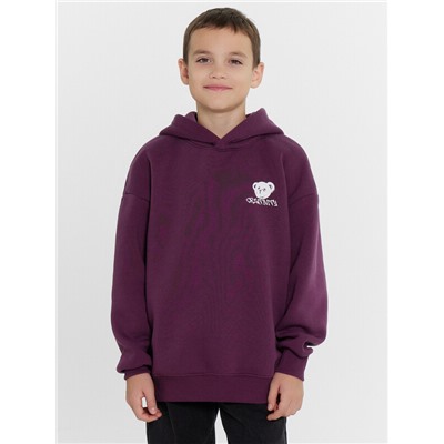 ХУДИ ДЛЯ МАЛЬЧИКОВ 123416