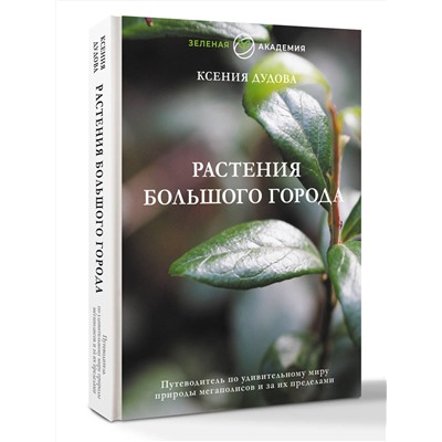 АСТ Ксения Дудова "Растения большого города. Путеводитель по удивительному миру природы мегаполисов и за их пределами"