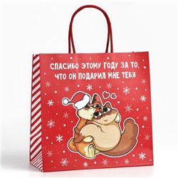 Пакет подарочный новогодний «Спасибо этому году», 22×22×11 см