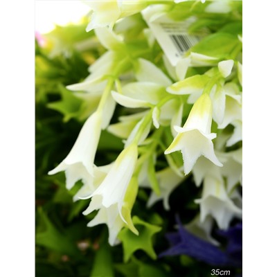 Цветок искусственный Колокольчик 35 см / W234/уп 2/600/ (Светло-зеленый / белый)