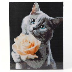 УЦЕНКА Алмазная вышивка полное заполнение «Котенок с розой», на раме, 40×50 см